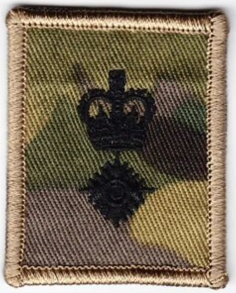 MTP Rank Patches with Velcro Backing