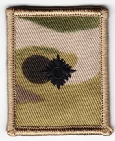 MTP Rank Patches with Velcro Backing