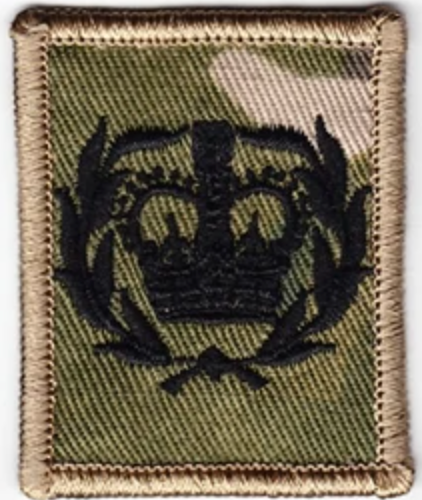 MTP Rank Patches with Velcro Backing